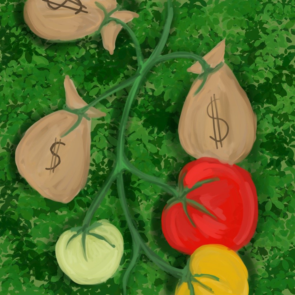 My $100 Tomato app icon